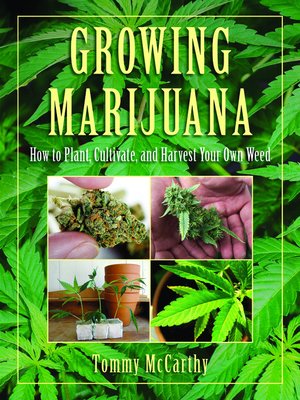 cover image of Growing Marijuana